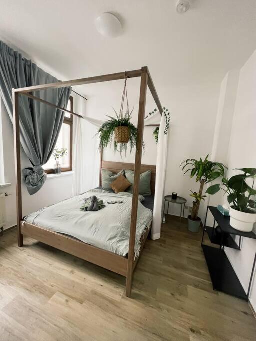 Pretty Home City Jungle Zwickau Eksteriør billede